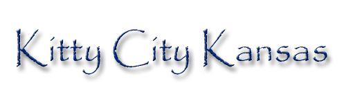 Kitty City Kansas Rescue