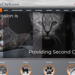 Welcome to the New Kitty City Kansas Website!