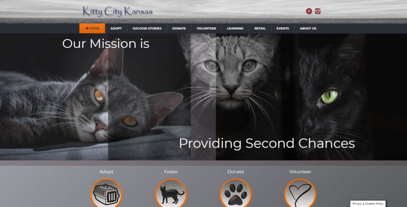 Welcome to the New Kitty City Kansas Website! Welcome to the New Kitty City Kansas Website!