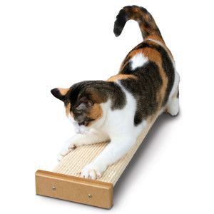 Smart Cat Flat Scratcher