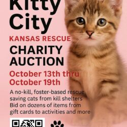 October 2025 Kitty City Auction