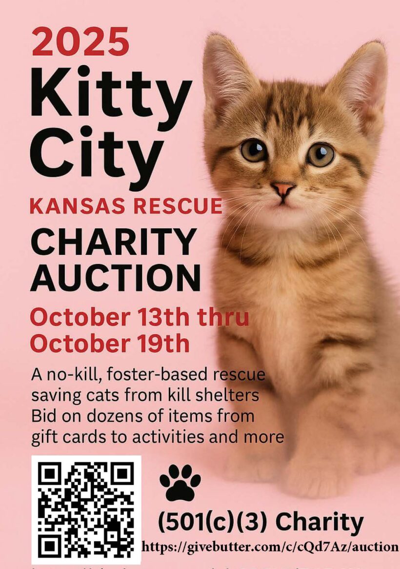 October 2025 Kitty City Auction